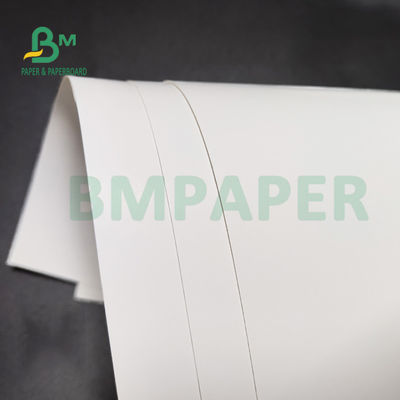 Virgin Pulp Freezer Paper Roll 1 Side FBB White Back 350gsm 36'' X 48'' For Health Care Package
