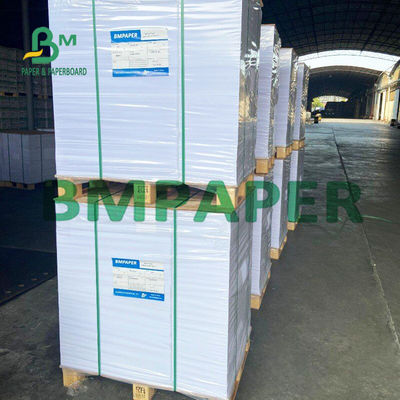 Matte White C2S Glossy Paper 120g 635 X 965mm For Greeting Cards