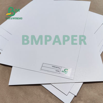 270gsm White Freezer Paper Roll Board For Fresh Food Packaging High Bulk 30 X 22.5&quot;