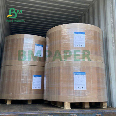 270gsm White Freezer Paper Roll Board For Fresh Food Packaging High Bulk 30 X 22.5&quot;