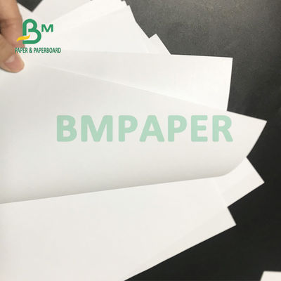 Super White Woodfree Offset Paper 140gsm 160gsm 635mm X 914mm Good Flatness