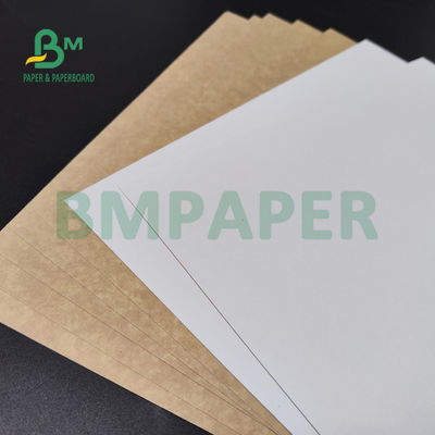 250gsm 300gsm C1S Kraft Back Coated Duplex Board For Salad Box Food Safe