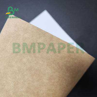250gsm 300gsm C1S Kraft Back Coated Duplex Board For Salad Box Food Safe