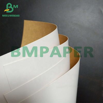 Non Toxic Freezer Paper Roll One Side Coated White Kraft Paper With Brown Back