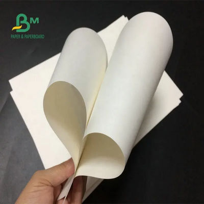 Virgin White Kraft Paper Roll 24 X 35 Inch 150gsm 170gsm 190gsm For Paper Bags