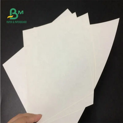 Virgin White Kraft Paper Roll 24 X 35 Inch 150gsm 170gsm 190gsm For Paper Bags