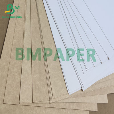Food White Coated Folding Carton Board Kraft Back Paper 325gsm