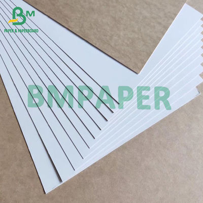 Food White Coated Folding Carton Board Kraft Back Paper 325gsm