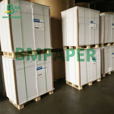 Food White Coated Folding Carton Board Kraft Back Paper 325gsm