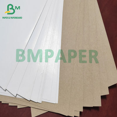 White Top Clay Coated Kraft Liner Board Paper 140g - 200g For Carton Box