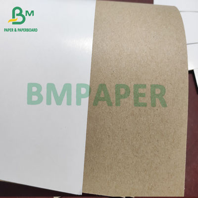 White Top Clay Coated Kraft Liner Board Paper 140g - 200g For Carton Box