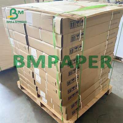 55 GSM Thermal Receipt Printer Paper Rolls BPA Free For POS