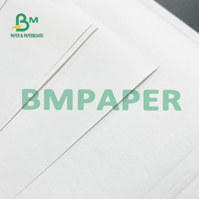 48 GSM Thermal Printer Paper Roll 50 Rolls A Grade For POS Systems