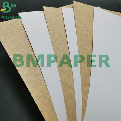 Virgin Pulp 325gsm Food Grade Kraft Paper White Coated with Brown Back