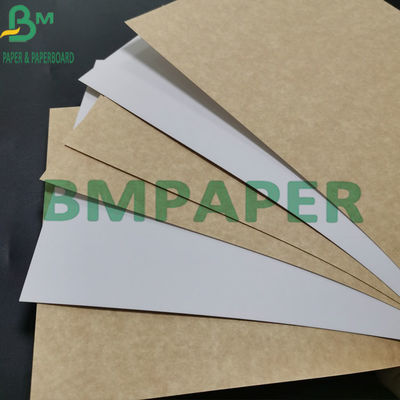 Virgin Pulp 325gsm Food Grade Kraft Paper White Coated with Brown Back