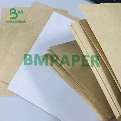 300g 325g 360g White / Kraft Cardboard Food Grade Coated 1 Side
