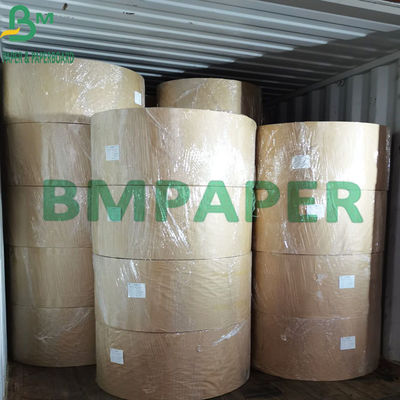 Strong Stiffness 230gsm ~ 400gsm Food Grade Paperboard One Side Coated Cardboard