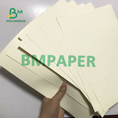 Cream Woodfree Offset White Bond Paper Roll Uncoated 70g 80g 100g 120g