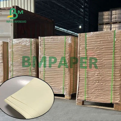 Cream Woodfree Offset White Bond Paper Roll Uncoated 70g 80g 100g 120g
