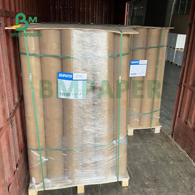 Smooth Surface Virgin Kraft Paperboard For Fruit Packing Printable