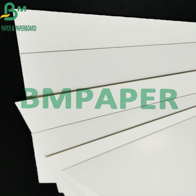 High Stiffness One Side Coated Food Grade Bleached Wrapping Board For Packing