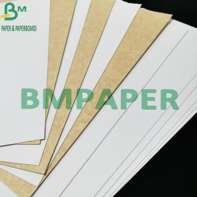 300gsm Food Grade Coated White Kraft Paper With Brown Back For Food Container