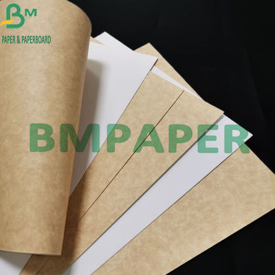 300gsm Food Grade Coated White Kraft Paper With Brown Back For Food Container