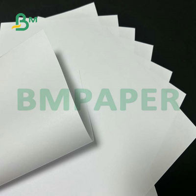 Wide Format Uncoated Woodfree Paper 55gsm 60gsm 65gsm For School Text Printing