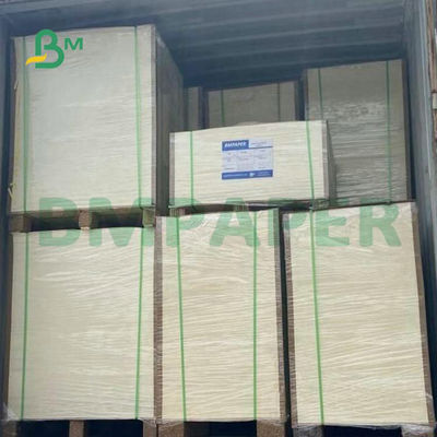 Wide Format Uncoated Woodfree Paper 55gsm 60gsm 65gsm For School Text Printing