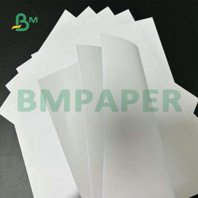 Wide Format Uncoated Woodfree Paper 55gsm 60gsm 65gsm For School Text Printing