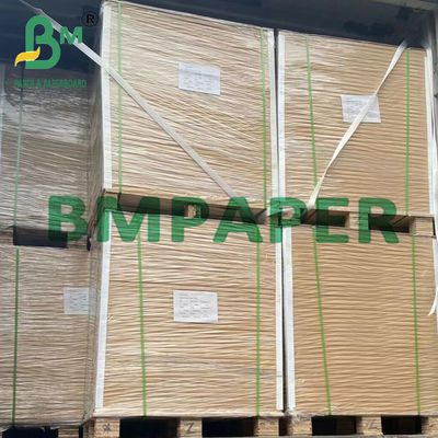 160 - 400 GSM Food Grade PE Coated Craft Paper For Snack Boxes