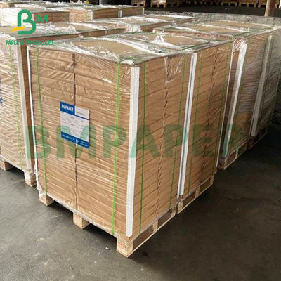 Food Grade White Coated Lunch Meal Food Box Paper board 270gsm 300gsm