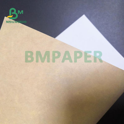 300gsm Brown White CKB Board For Frozen Food Package Good Stiffness 74 x 106cm