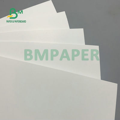 275gsm + 15gsm PE Polyboard 1 Side PE Coated Frozen Chilled Whiteboard For Frozen Food