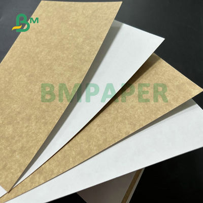 300gsm 325gsm Freeze-resistant Foodgrade Coated Kraft Paperboard For Frozen food packaging