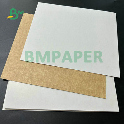 300gsm 325gsm Freeze-resistant Foodgrade Coated Kraft Paperboard For Frozen food packaging