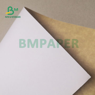 270gsm Coated White Top Kraft Back Paper Board For Take Away Boxes Food Safe