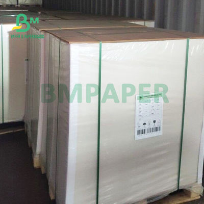 270gsm Coated White Top Kraft Back Paper Board For Take Away Boxes Food Safe