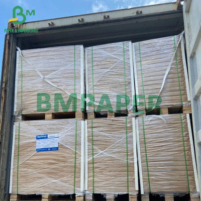 200g - 400g Food Grade FBB Board White Cellulose Paperboard For Food Container C1S Paper 25&quot; x 37&quot; 30&quot; x 22.5&quot;