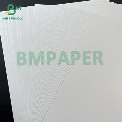 250gsm Food Grade GC1 One Side Coated Board For Food Packaging
