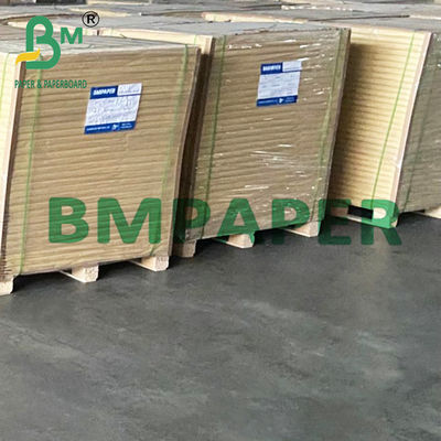 15&quot; x 1000' White Polyboard 1 Side PE Coated Paper For Frozen Food 275g
