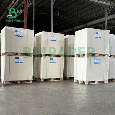 270gsm 1 Side FBB Board For Frozen Food Package 42&quot; x  29.5&quot; High Stiffness