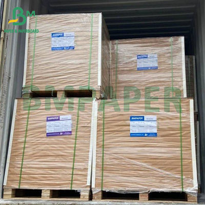 275gsm Frozen Food Packaging Boxes Paper Coated Food Board PE Coating