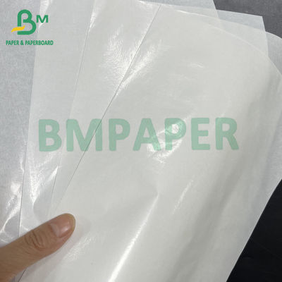50 gsm + 10 gsm Single - Side Glossy PE Coated White Kraft Food Paper