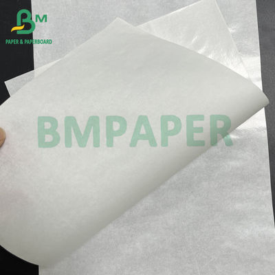 50 gsm + 10 gsm Single - Side Glossy PE Coated White Kraft Food Paper