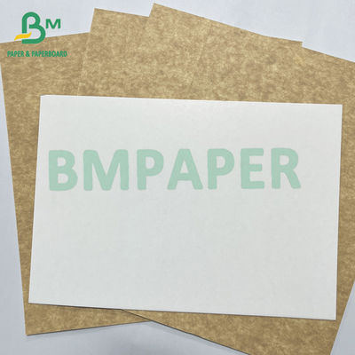 270gsm Food Contact White Top Coated Kraft Board for Pastry Packaging Box