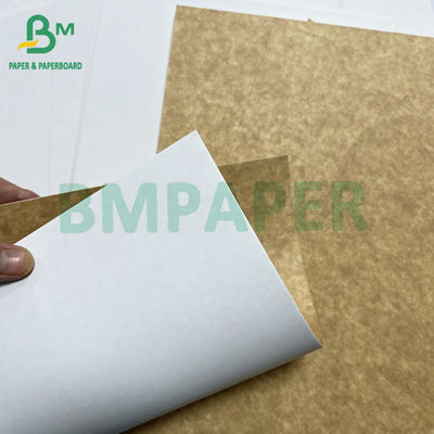 325gsm Food Grade Superior Strength White Coated Kraft Back CKB For Takeaway box