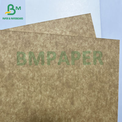 325gsm Food Grade Superior Strength White Coated Kraft Back CKB For Takeaway box