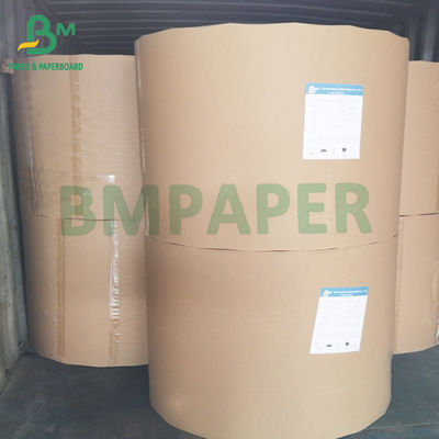 100gsm Eco Friendly Safety White Kraft Food Paper For Nuts Wrapping In Reel 1100mm