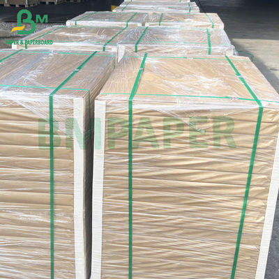 54&quot; * 300ft 80gsm Good Ink Absorbing Glossy Coated C2S Text Paper